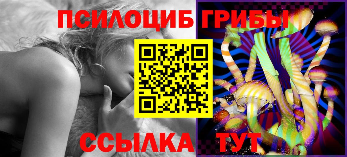 Псилоцибиновые грибы GOLDEN TEACHER  Галлюциногенные грибы мицелий  Бугульма  Вход с VPN 